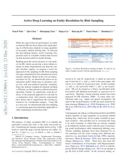 Active Deep Learning on Entity Resolution by Risk Sampling