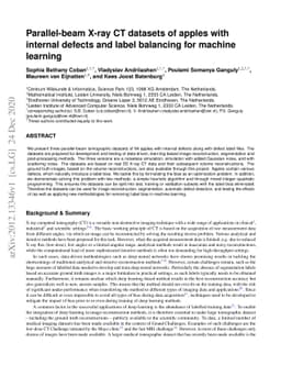 Parallel-beam X-ray CT datasets of apples with internal defects and
  label balancing for machine learning