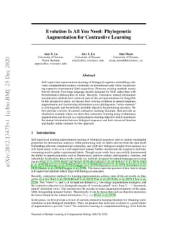 Evolution Is All You Need: Phylogenetic Augmentation for Contrastive
  Learning