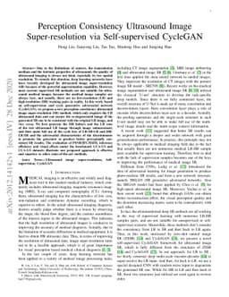Perception Consistency Ultrasound Image Super-resolution via
  Self-supervised CycleGAN