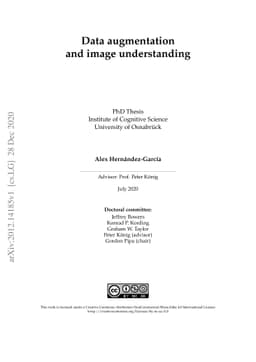 Data augmentation and image understanding