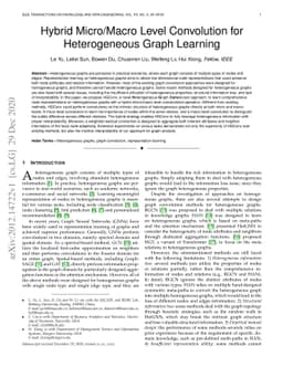 Hybrid Micro/Macro Level Convolution for Heterogeneous Graph Learning