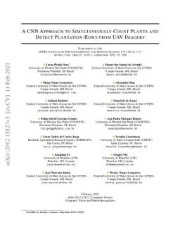 A CNN Approach to Simultaneously Count Plants and Detect Plantation-Rows
  from UAV Imagery