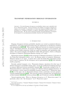 Transport information Bregman divergences