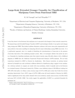 Large-Scale Extended Granger Causality for Classification of Marijuana
  Users From Functional MRI
