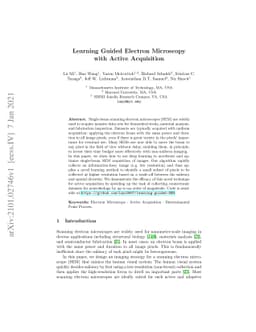 Learning Guided Electron Microscopy with Active Acquisition