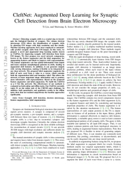 CleftNet: Augmented Deep Learning for Synaptic Cleft Detection from
  Brain Electron Microscopy