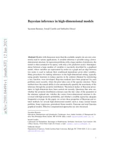 Bayesian inference in high-dimensional models