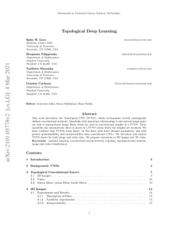 Topological Deep Learning