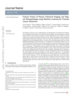 Feature Fusion of Raman Chemical Imaging and Digital Histopathology
  using Machine Learning for Prostate Cancer Detection