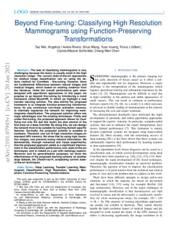 Beyond Fine-tuning: Classifying High Resolution Mammograms using
  Function-Preserving Transformations