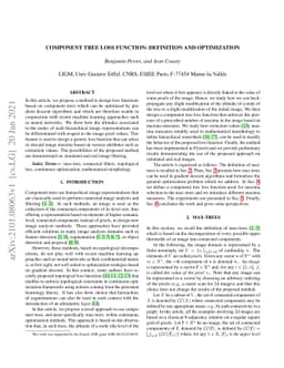 Component Tree Loss Function: Definition and Optimization