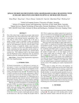 Single Neuron Segmentation using Graph-based Global Reasoning with
  Auxiliary Skeleton Loss from 3D Optical Microscope Images