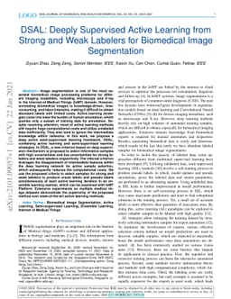DSAL: Deeply Supervised Active Learning from Strong and Weak Labelers
  for Biomedical Image Segmentation