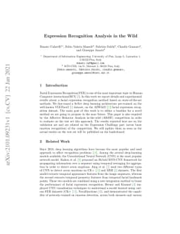 Expression Recognition Analysis in the Wild