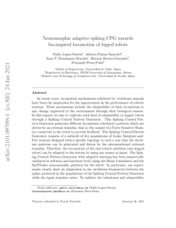 Neuromorphic adaptive spiking CPG towards bio-inspired locomotion of
  legged robots