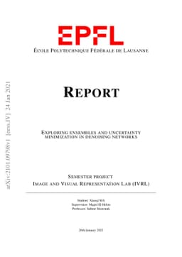 Exploring ensembles and uncertainty minimization in denoising networks