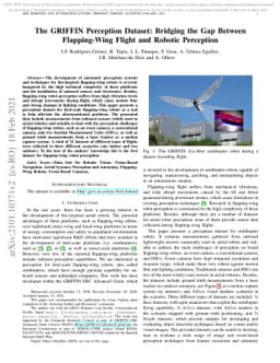 The GRIFFIN Perception Dataset: Bridging the Gap Between Flapping-Wing
  Flight and Robotic Perception