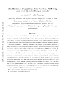 Classification of Schizophrenia from Functional MRI Using Large-scale
  Extended Granger Causality
