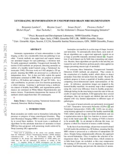 Leveraging 3D Information in Unsupervised Brain MRI Segmentation