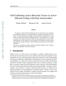 Self-Calibrating Active Binocular Vision via Active Efficient Coding
  with Deep Autoencoders