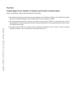 Tropical Support Vector Machines: Evaluations and Extension to Function
  Spaces