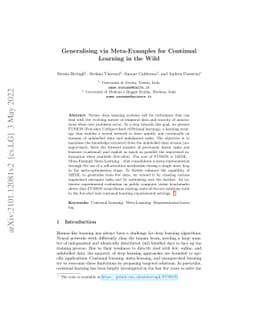 Generalising via Meta-Examples for Continual Learning in the Wild