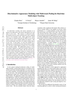 Discriminative Appearance Modeling with Multi-track Pooling for
  Real-time Multi-object Tracking