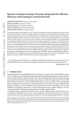 Sparsity in Deep Learning: Pruning and growth for efficient inference
  and training in neural networks
