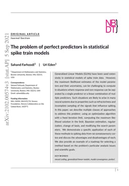 The problem of perfect predictors in statistical spike train models