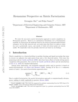 Riemannian Perspective on Matrix Factorization