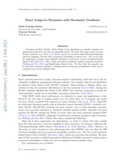 Exact Langevin Dynamics with Stochastic Gradients