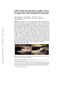 LION: Lidar-Inertial Observability-Aware Navigator for Vision-Denied
  Environments