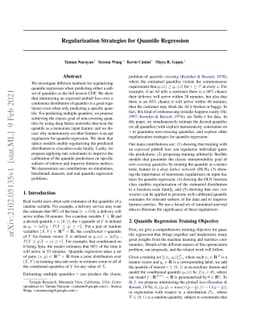 Regularization Strategies for Quantile Regression