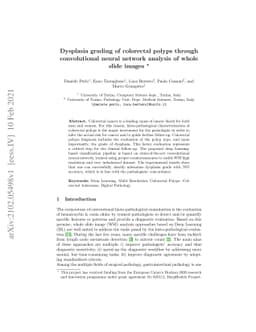 Dysplasia grading of colorectal polyps through CNN analysis of WSI