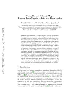 Going Beyond Saliency Maps: Training Deep Models to Interpret Deep
  Models