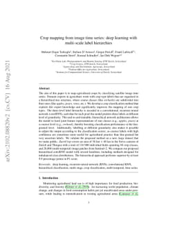 Crop mapping from image time series: deep learning with multi-scale
  label hierarchies
