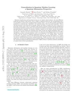 Generalization in Quantum Machine Learning: a Quantum Information
  Perspective
