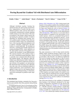 Peering Beyond the Gradient Veil with Distributed Auto Differentiation