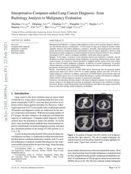 Interpretative Computer-aided Lung Cancer Diagnosis: from Radiology
  Analysis to Malignancy Evaluation