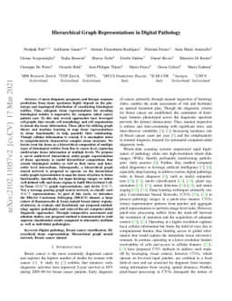 Hierarchical Graph Representations in Digital Pathology
