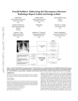 VisualCheXbert: Addressing the Discrepancy Between Radiology Report
  Labels and Image Labels