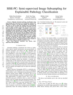SISE-PC: Semi-supervised Image Subsampling for Explainable Pathology