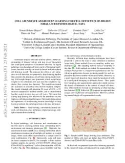 Cell abundance aware deep learning for cell detection on highly
  imbalanced pathological data