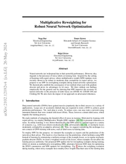 Multiplicative Reweighting for Robust Neural Network Optimization
