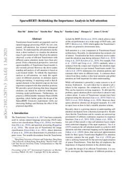 SparseBERT: Rethinking the Importance Analysis in Self-attention