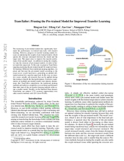 TransTailor: Pruning the Pre-trained Model for Improved Transfer
  Learning