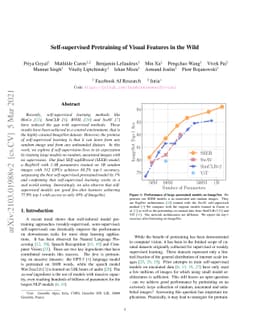 Self-supervised Pretraining of Visual Features in the Wild