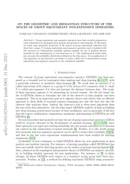 On the geometric and Riemannian structure of the spaces of group
  equivariant non-expansive operators