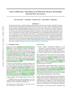 Lost in Pruning: The Effects of Pruning Neural Networks beyond Test
  Accuracy